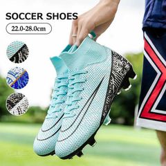 Item thumbnail for item bec2bb1d-4b0a-4d4d-9576-4023f1209957