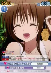 2025年最新】ヴィクトリースパーク 美柑の人気アイテム - メルカリ