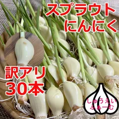 2023年最新】発芽にんにくの人気アイテム - メルカリ