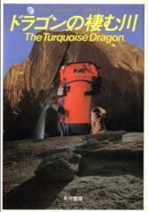 ドラゴンの棲む川 デイヴィッド・R・ウォレス ハヤカワ・ノヴェルズ ハードカバー単行本