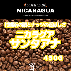 ニカラグア サンタアナ SHG 注文焙煎 スペシャルティコーヒー豆 450g