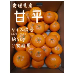 2024年最新】甘平 みかんの人気アイテム - メルカリ 