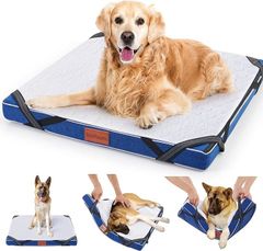 Item thumbnail for item 85dc5eb9-afa3-420e-936a-79199a3c3306