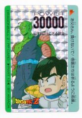 ドラゴンボールZ PPカード 「No.676 たゆまぬ修業（ピッコロ