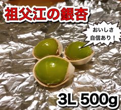 愛知県祖父江産　銀杏　3L 500g
