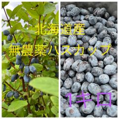 北海道産　農薬、除草剤不使用　冷凍ハスカップ　0.5キロ