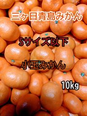 【小玉みかん】三ヶ日青島みかん ご家庭用10kg 【農家直送】