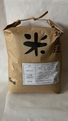 特別栽培米 令和6年産 新米 はえぬき 玄米 10kg(5kg×2)