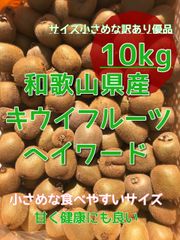 国産）甘美味〟和歌山県産 キウイフルーツ 10kg ヘイワードのサムネイル