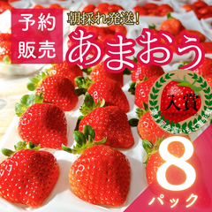 【予約販売商品】【減農薬】福岡県産あまおういちご 8パック (2280g)