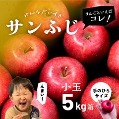 1月15日から1月中発送分「サンふじ5キロ箱小玉」 減農薬 甘い 小玉 りんご 飴 長野県 安曇野 信州 産地直送 果物 フルーツ 小玉 ギフト 贈答 家庭 5kg