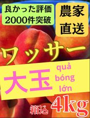 爆盛10kg】信州早生ワッサー 桃 家庭用 クール便 - メルカリ