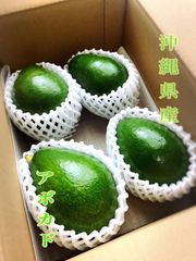 沖縄県産　激レア❣️ 国産 アボカド