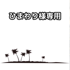 ひまわり様専用　【ちびヤシ 2】【鉢ごと発送】　ワシントン×12鉢　ワシントニアフィリフェラ　Washingtonia filifera　2025.4.27-Wf2