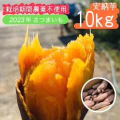 【箱込み10kg】倉敷安納芋 新物 さつまいも【無農薬】