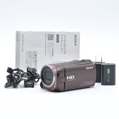 SONY ソニー HDR-CX480 ボルドーブラウン ビデオカメラ【中古】