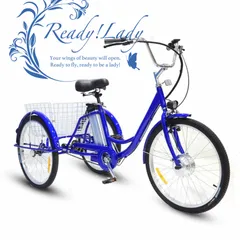 電動自転車　3輪車　【未使用】 中国貨物メーカー用電動三輪車工場 - 中国製の貨物用