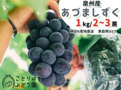3️⃣ 山梨県産 あづましずく 9房入り 箱込5キロ - メルカリ