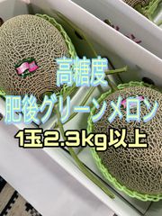 肥後グリーンメロン　特大2玉入り