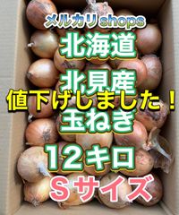 北海道産玉ねぎ　Sサイズ　１２キロ