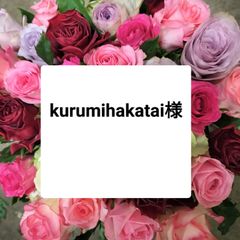 バラ  ミックス  40センチ40本クール便（切花 生花  バラ）