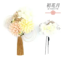髪飾り 成人式 水引 振袖 袴 2点セット 花 黄色 ピンク 白 ゴールド 房 かすみそう 大きい 小さい Uピン コーム かわいい おし No.12-0632