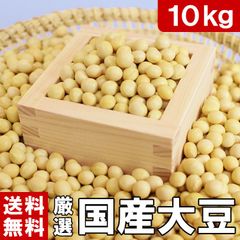 大豆 2025年産 長野県産 薬品磨き不使用 惣菜 加工用 少し訳あり10kg