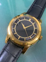 R6-7099 中古品ブルッキアーナ　BAV002　美品のサムネイル