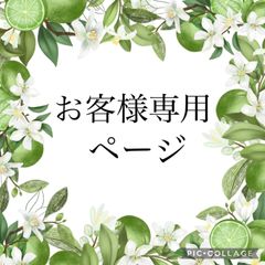 さーとー様専用ページ