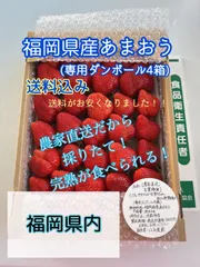 n*o様 送料込み【農家直送・お買得便】とてもやわらか甘熟ちゃん加工用特価！！ 九州·中国地方☆○口コミ600件達成㊗️特別企画☆○やわらか甘熟
