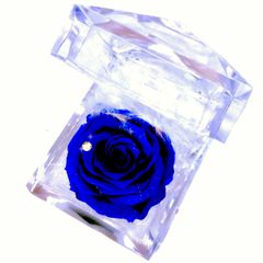 枯れない希望の花・青いバラプリザーブドフラワー・ブルーローズミニジュエリー