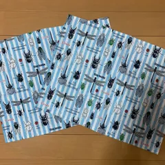 昆虫図鑑柄　ランチマット　2枚セット　ハンドメイド