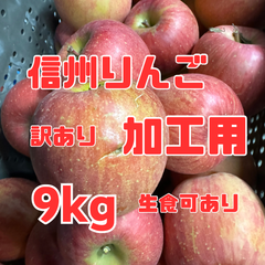 長野県産りんご 訳あり加工用 箱込み9キロ 送料無料 生食可もあり 大小バラ詰サイズMIX ジャム ジュース リンゴ酢 りんごシロップ フルーツサンド カットフルーツ