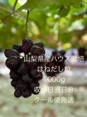 2025年最新】富士の輝き ぶどうの人気アイテム - メルカリ