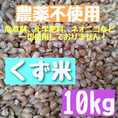 【令和6年】新米 農薬不使用  くず米  小米  玄米