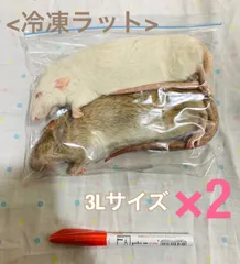 2025年最新】冷凍ラットの人気アイテム - メルカリ