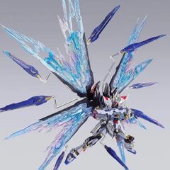 新品未開封 METAL BUILD ストライクフリーダムガンダム [METAL BUILD FESTIVAL 2024]  ＆ 光の翼オプションセット ［Re：PACKAGE］