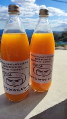 濃厚な旨味の木熟みかん100%ストレートみかんジュース　1000ｇ✕2本