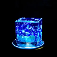 2024年最新】クリオネハーバリウムの人気アイテム - メルカリ 