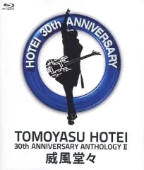 希少 布袋寅泰 30th ANNIVERSARY 第二弾 威風堂々 TONIGHT I'M