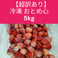 【超訳あり】フードロス解決！ 冷凍いちご 山形の苺 おとめ心  約5kg