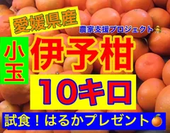 りちゃん　伊予柑10キロ 23箱 2025年最新】伊予柑10キロの人気アイテム - メルカリ