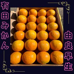 ゆらみかん　お試し　1.3キロ　 今年も美味しいみかんができました♡