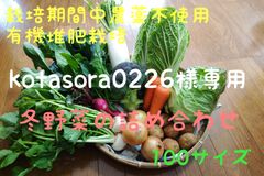 なおみ様専用】晩夏野菜の詰め合わせ（クール便） - メルカリ