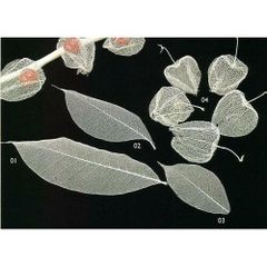 Item thumbnail for item 0d602a1c-2c49-4830-8b24-9930c8348623