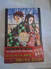 鬼滅の刃 ファンブック ハンマーヘッド 説明メモ