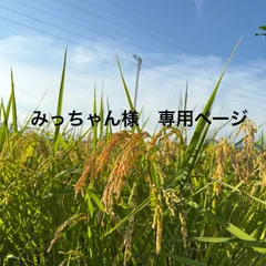 みっちゃん様　専用ページ