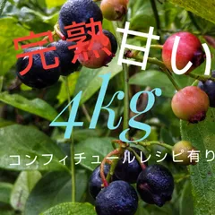 早期割引　冷凍完熟ブルーベリー4kgのサムネイル