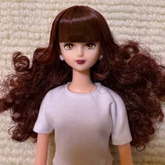 2025年最新】ジェニー人形 シオンの人気アイテム - メルカリ