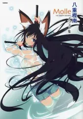 【非売品 当選品】 閃乱カグラ 未来 八重樫南 B2 サイズ ポスター 非売品 当選品】 閃乱カグラ 未来 八重樫南 B2 サイズ ポスター 非売品